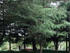 -黄兴公园