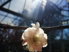 -北京鹫峰国家森林公园