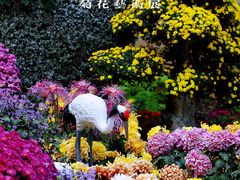 -杭州植物园