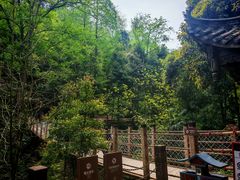 -凤栖山