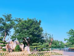 -济南大明湖景区