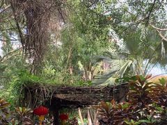 -海南热带野生动植物园