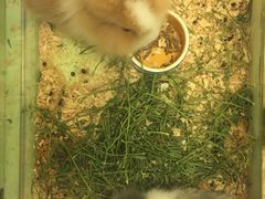 -龙猫仔乐园(惠福东路店)