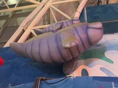-烟台海昌鲸鲨海洋公园