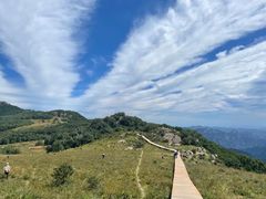 -白草畔自然风景区