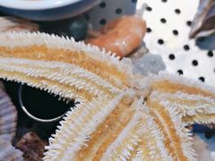 -永红源啤酒·烧烤·海鲜·大排档(台柳路店)