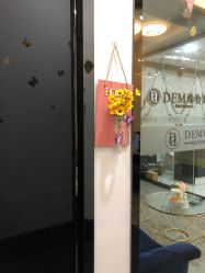 -DEM缔怡美科技美容