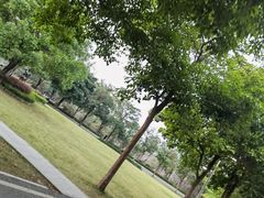 -广东花都湖国家湿地公园