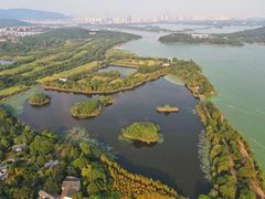 -上海市保健医疗中心