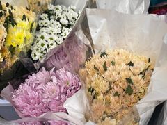 -循礼门鲜花花市(武汉循礼门店)