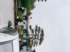 -隋唐洛阳城明堂天堂景区