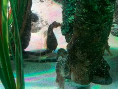 -沈阳海洋探索中心