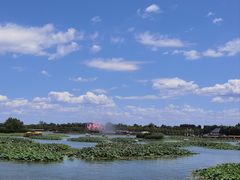 -白洋淀风景区
