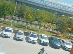 -比格比萨自助(沙河店)