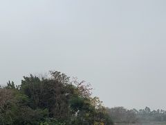 -海珠湖公园