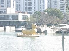 -青枫公园