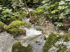 -宁海森林温泉