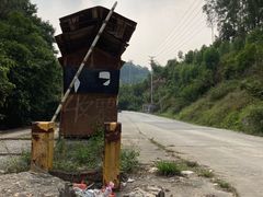 -黄埔油麻山森林公园