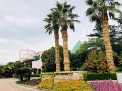 -太阳岛度假酒店