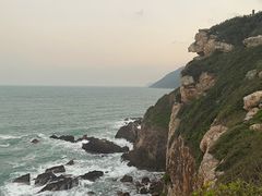 -杨梅坑