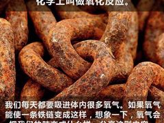 -百慕翡丽(南滨河东路店)