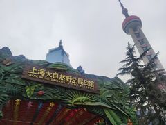 -上海大自然野生昆虫馆(东方明珠·爬宠昆虫探索中心)