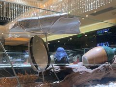 -红辣椒·川菜·火锅(张杨路店)