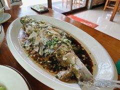 清蒸白鱼-宾湖农庄·农场特色(太湖龙之梦店)