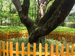 -徐家汇源景区-衡山公园