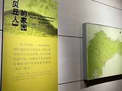 -烟台市博物馆