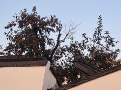 -北寺塔