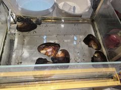 -十八字金银饰·拼豆·开蚌手工体验团建(君太百货店)