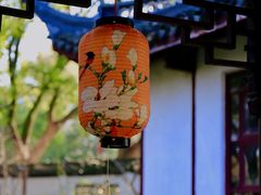 -上海醉白池公园