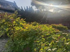 -大钟寺古钟博物馆