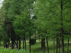 -人民公园(罗湖区)