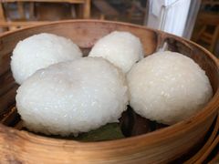 茨毛圆子-双塔老饭店