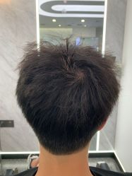 -YESIDO椰岛造型