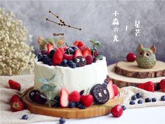 【小森の光~星芒】-EnergyCake蛋糕理想国