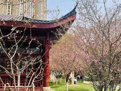 -堤角公园