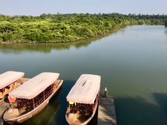 -东寨港红树林旅游区