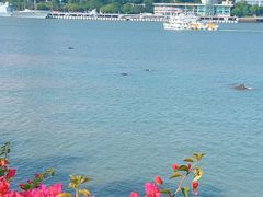 -鼓浪屿