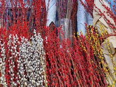 -双季花艺园艺市场(浦东店)