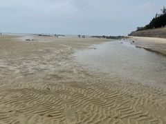 -红树林天天赶海