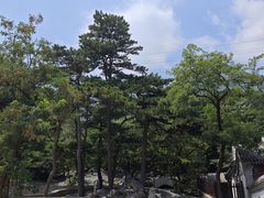 -阳台山自然风景区