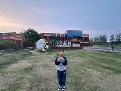 -黄海国家森林公园