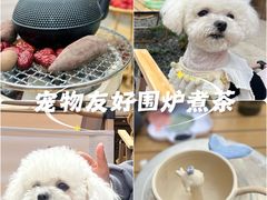 -陶野咖啡·面包披萨