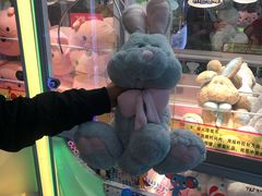-PAWTOY爪e玩偶店(天兴罗斯福店)
