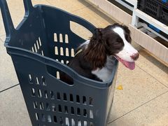 -嘉馨宠物医院·CT影像转诊·心脏科·犬猫全科诊疗中心(下沙大学城院区)