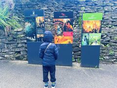 -怀托摩萤火虫洞