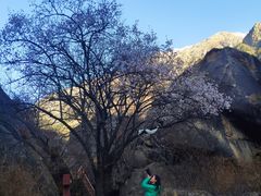 -达古峡谷风景区